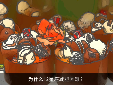 为什么12星座减肥困难？
