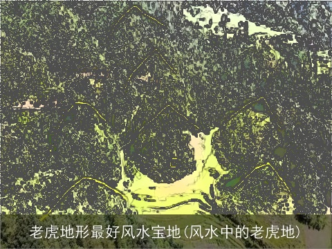 老虎地形最好风水宝地(风水中的老虎地)