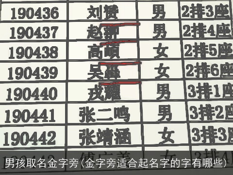 男孩取名金字旁(金字旁适合起名字的字有哪些)
