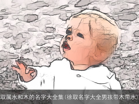 取属水和木的名字大全集(徐取名字大全男孩带木带水)