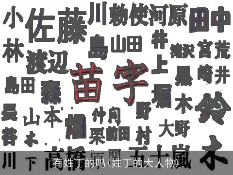 有姓丁的吗(姓丁的大人物)