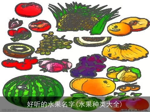 好听的水果名字(水果种类大全)