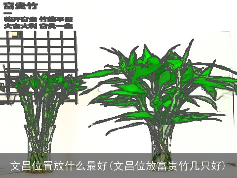 文昌位置放什么最好(文昌位放富贵竹几只好)