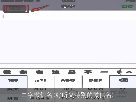 二字微信名(好听又特别的微信名)
