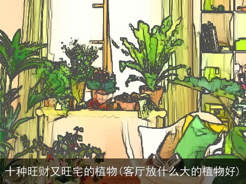 十种旺财又旺宅的植物(客厅放什么大的植物好)