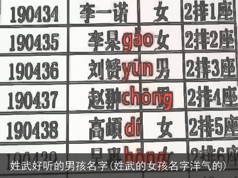 姓武好听的男孩名字(姓武的女孩名字洋气的)