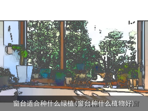 窗台适合种什么绿植(窗台种什么植物好)