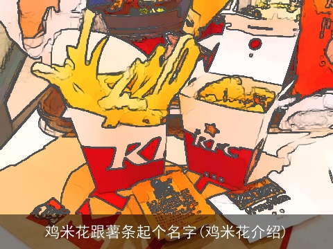 鸡米花跟薯条起个名字(鸡米花介绍)