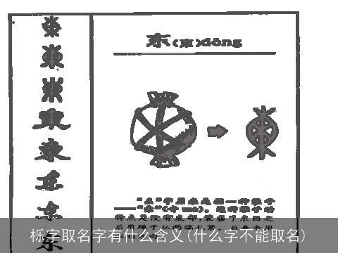 栎字取名字有什么含义(什么字不能取名)
