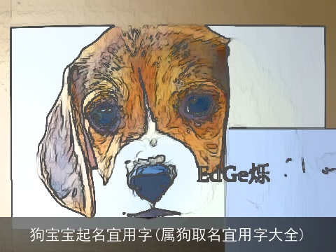狗宝宝起名宜用字(属狗取名宜用字大全)