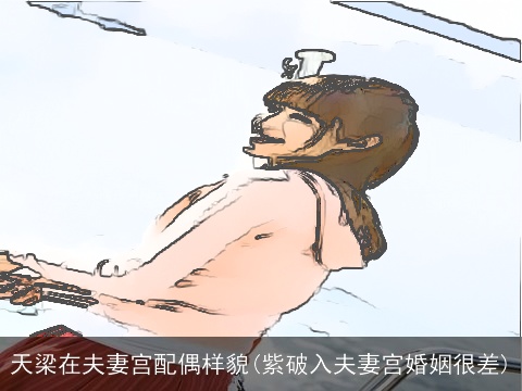 天梁在夫妻宫配偶样貌(紫破入夫妻宫婚姻很差)