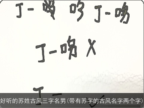 好听的苏姓古风三字名男(带有苏字的古风名字两个字)