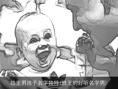 姓王男孩子名字独特(姓王的好听名字男)