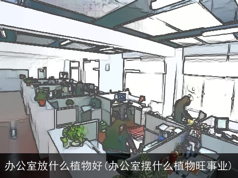 办公室放什么植物好(办公室摆什么植物旺事业)