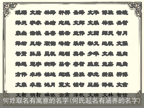 何姓取名有寓意的名字(何氏起名有涵养的名字)