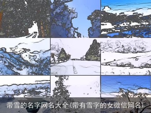 带雪的名字网名大全(带有雪字的女微信网名)