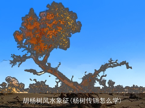 胡杨树风水象征(杨树传销怎么学)