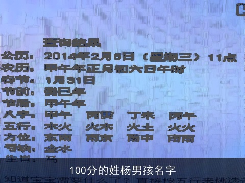 100分的姓杨男孩名字