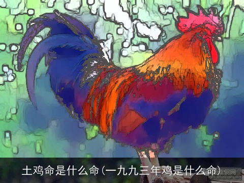 土鸡命是什么命(一九九三年鸡是什么命)