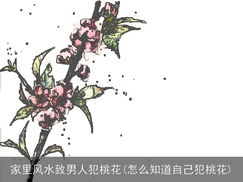 家里风水致男人犯桃花(怎么知道自己犯桃花)