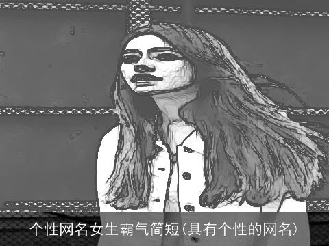 个性网名女生霸气简短(具有个性的网名)