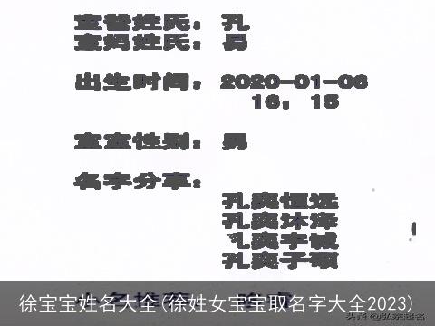 徐宝宝姓名大全(徐姓女宝宝取名字大全2023)