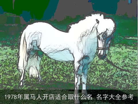1978年属马人开店适合取什么名 名字大全参考