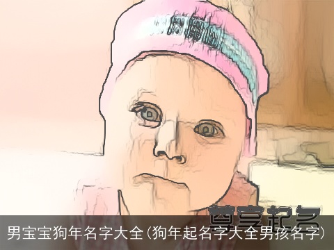 男宝宝狗年名字大全(狗年起名字大全男孩名字)