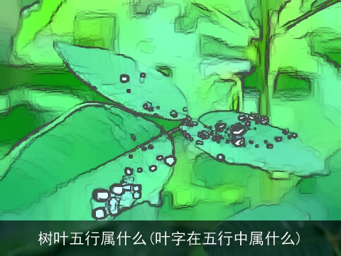 树叶五行属什么(叶字在五行中属什么)