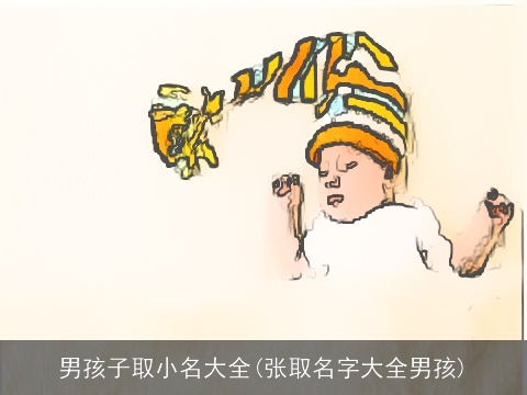 男孩子取小名大全(张取名字大全男孩)