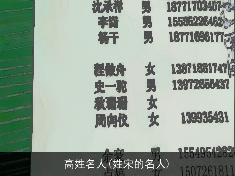 高姓名人(姓宋的名人)