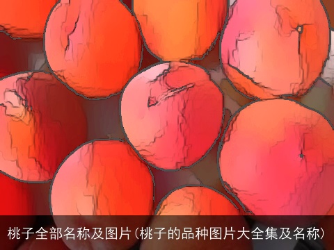 桃子全部名称及图片(桃子的品种图片大全集及名称)