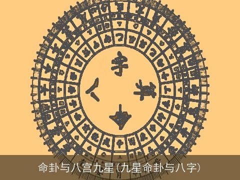命卦与八宫九星(九星命卦与八字)