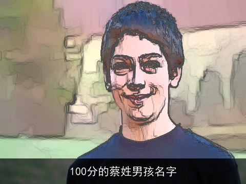 100分的蔡姓男孩名字