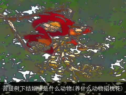 菩提树下结姻缘是什么动物(养什么动物招桃花)