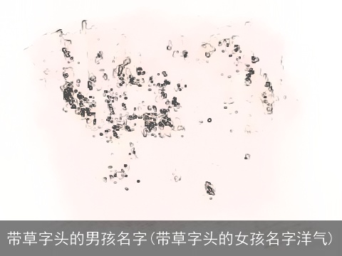 带草字头的男孩名字(带草字头的女孩名字洋气)