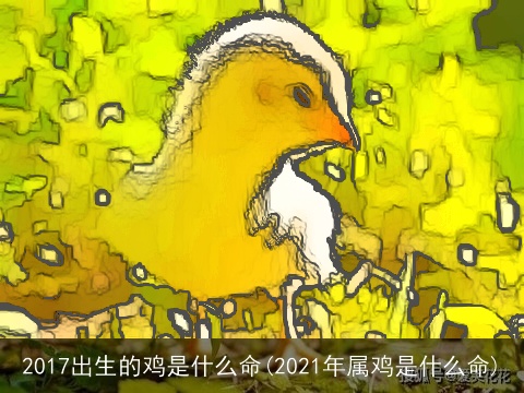 2017出生的鸡是什么命(2021年属鸡是什么命)