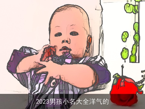 2023男孩小名大全洋气的