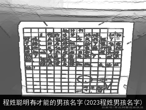 程姓聪明有才能的男孩名字(2023程姓男孩名字)