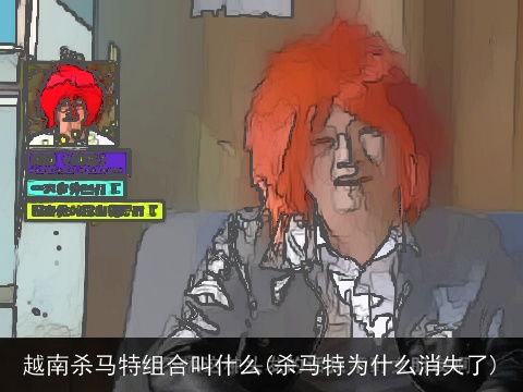 越南杀马特组合叫什么(杀马特为什么消失了)