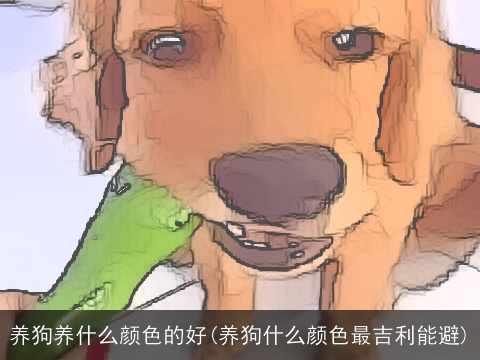 养狗养什么颜色的好(养狗什么颜色最吉利能避)