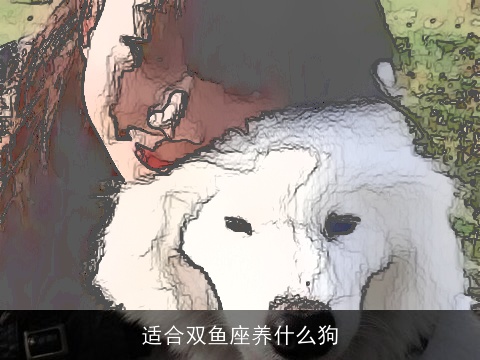 适合双鱼座养什么狗