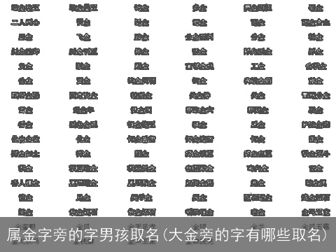 属金字旁的字男孩取名(大金旁的字有哪些取名)