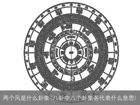 两个风是什么卦象(八卦中八个卦象各代表什么意思)