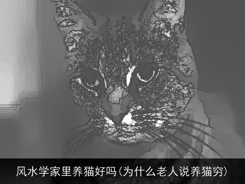 风水学家里养猫好吗(为什么老人说养猫穷)