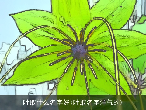 叶取什么名字好(叶取名字洋气的)