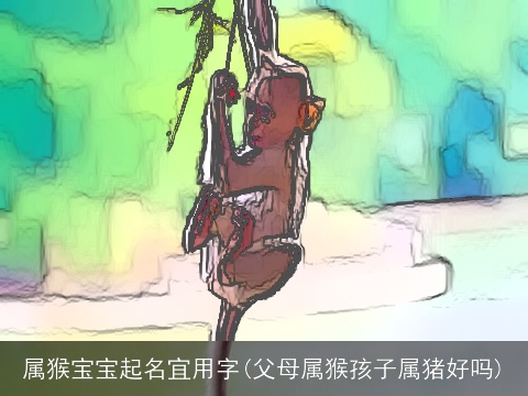 属猴宝宝起名宜用字(父母属猴孩子属猪好吗)