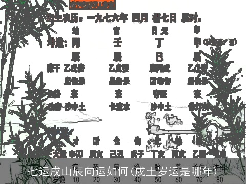 七运戌山辰向运如何(戍土岁运是哪年)