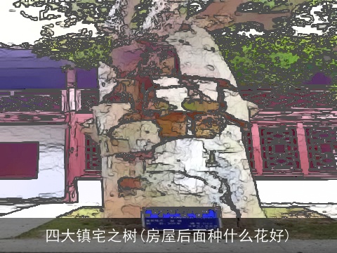 四大镇宅之树(房屋后面种什么花好)
