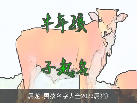 属龙(男孩名字大全2023属猪)